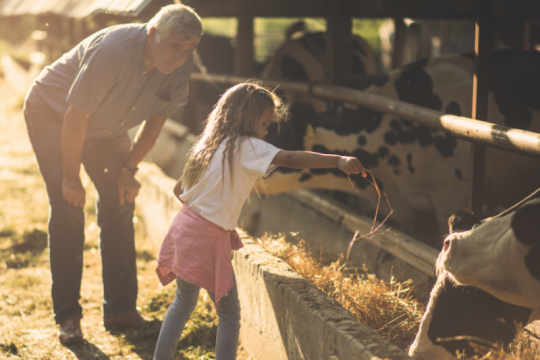 4-H - Volunteer Training Course