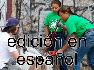 4-H - Curso de Formacion Para Voluntarios