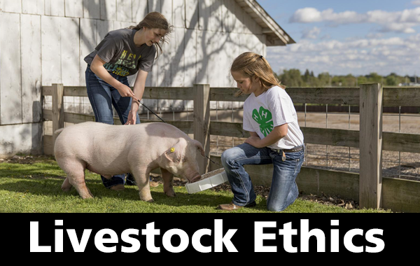 Livestock Ethics