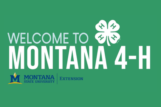 Montana - 4-H Volunteer Orientation