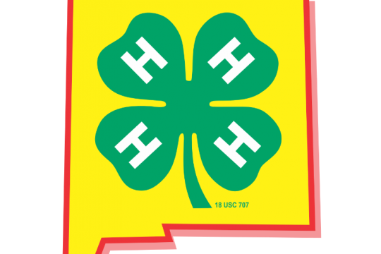  New Mexico - 4-H 101 25-26