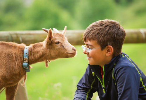 QAEC Training County