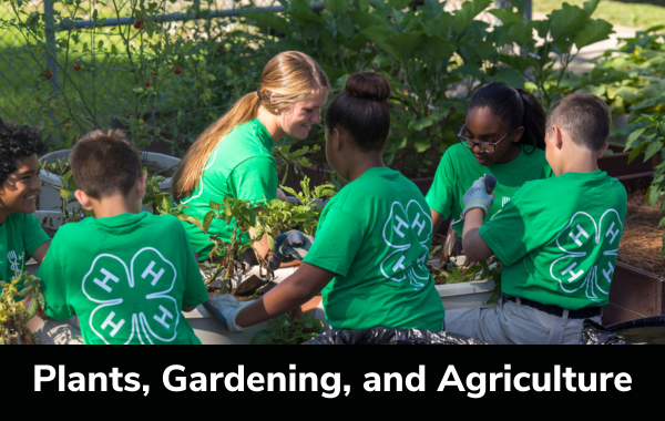 Plants, Gardening, and Agriculture